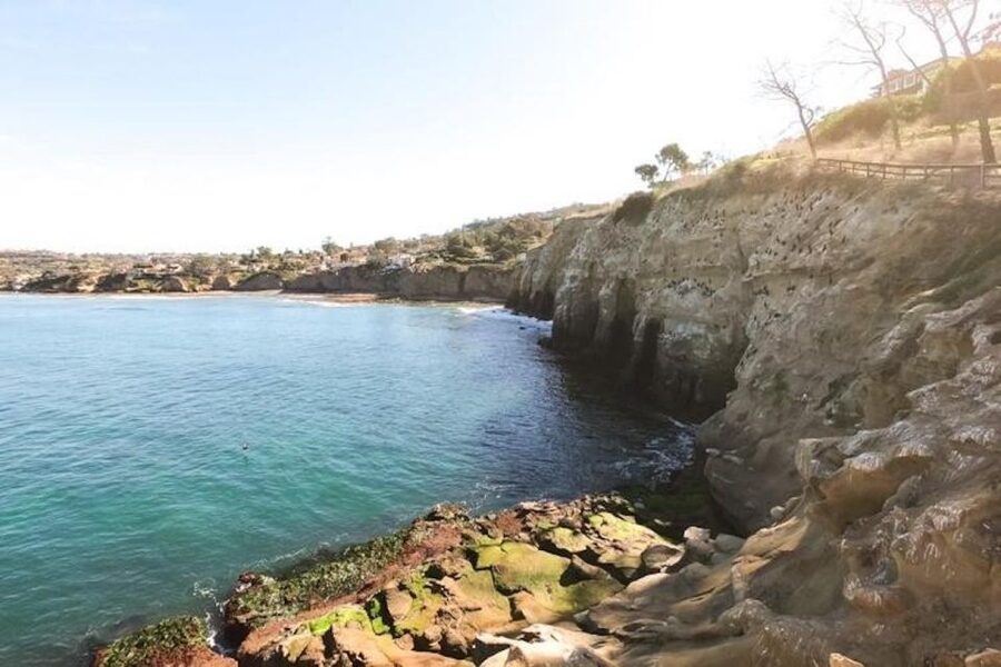 San Diego: La Jolla Cove Guided Snorkeling Tour - Booking details worth knowing
