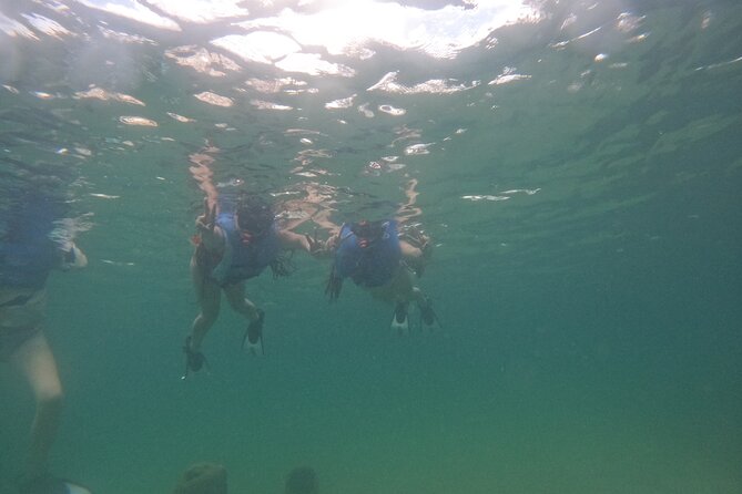 San Juan Turtle Spotting Snorkel Adventure with Videos - The guide makes the difference