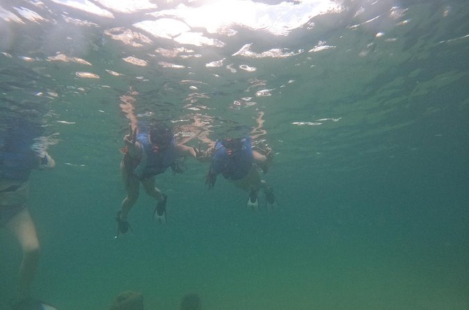 San Juan Turtle Spotting Snorkel Adventure with Videos - Who gets the best value from this tour
