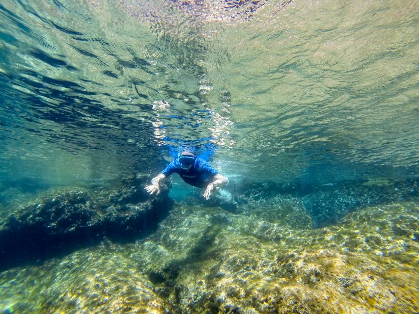 San Terenzo: Portovenere Natural Park Snorkeling Trip - Portoveneres rocky coves and underwater habitat