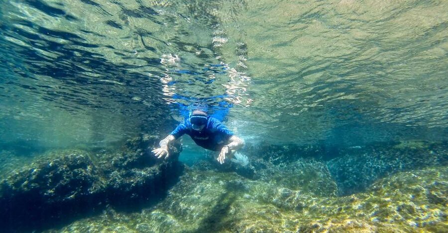 San Terenzo: Portovenere Natural Park Snorkeling Trip - Learning the basics before entering the water
