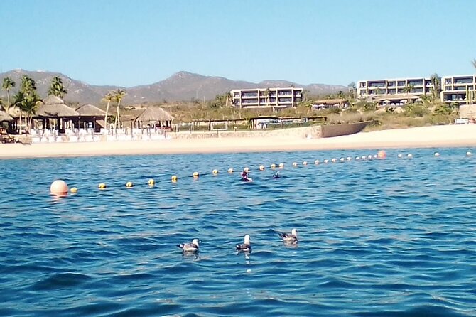 Santa Maria and Chileno Bay Snorkel Adventure Los Cabos - Santa Maria Cove: calm water and a quieter swim