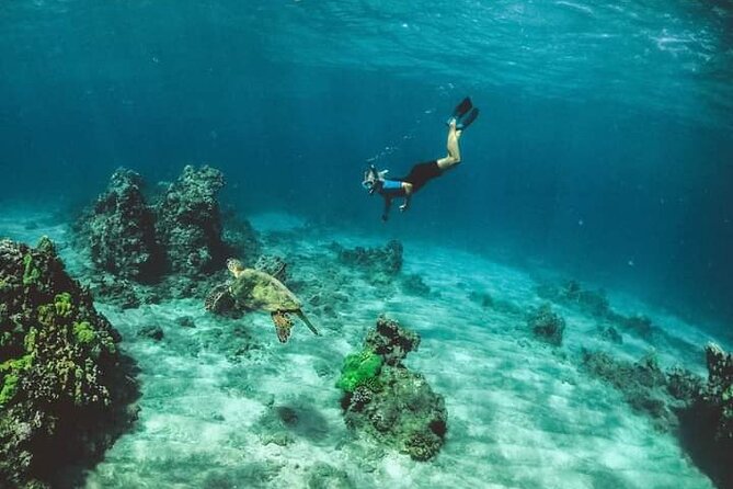 Santa Maria and Chileno Bay Snorkel Adventure Los Cabos - Chileno Bay: more underwater structure