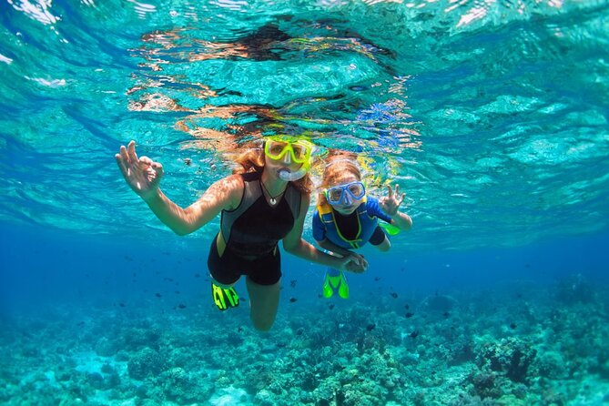 Santa Maria and Chileno Bay Snorkel Adventure Los Cabos - Setting out from the Cabo San Lucas marina