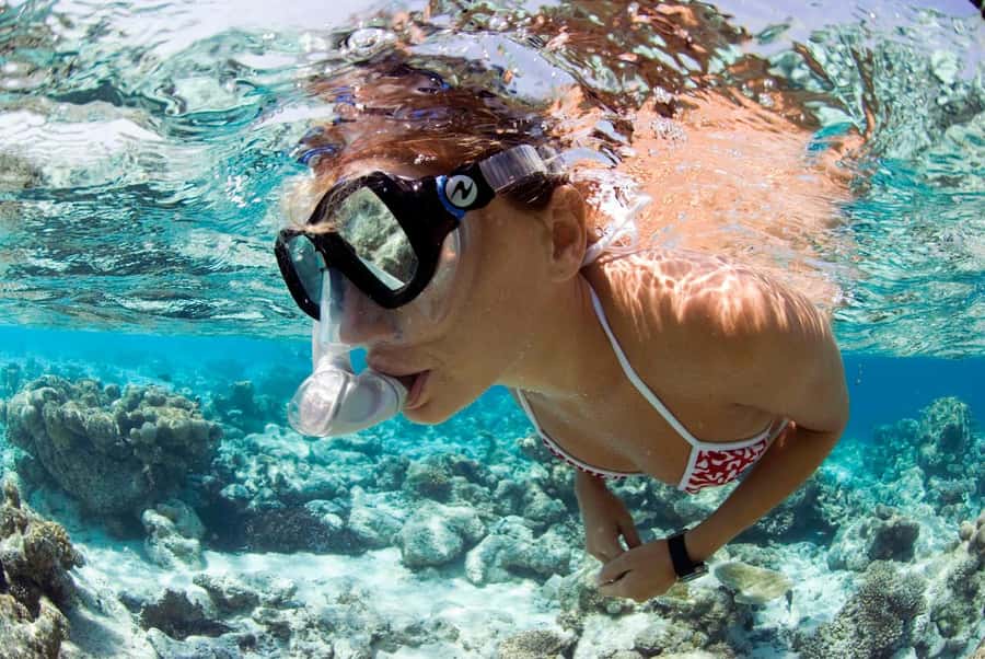 Santa Maria: Guided Snorkeling and Reef Tour - Key points to know before you book