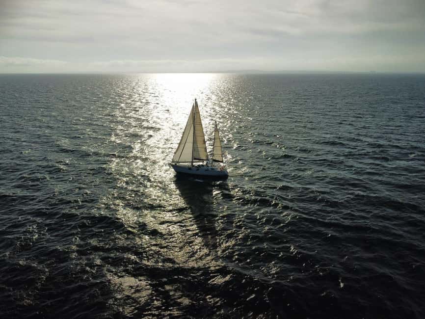 Santa Pola: Sail to Tabarca, snorkel, and enjoy sunset with a tasting - Key points to know before you book