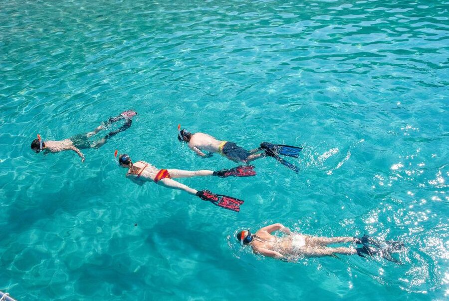 Santa Ponsa: Snorkeling Tour in a Marine Reserve - The guide-led water session