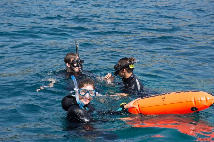 Santa Ponsa: Snorkeling Tour in a Marine Reserve - Booking details that matter