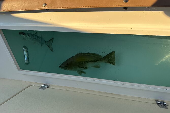 Santorini Fishing Private Cruise boat tour - BBQ, Snorkeling - Snorkeling, swimming, and quiet coves