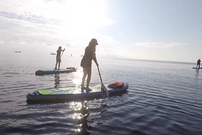 Santorini: Stand-Up Paddle and Snorkel Adventure - Key points to know before you book