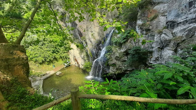 São Miguel Azores: Hike and Snorkeling with a local - Snorkeling in a volcanic sea pool