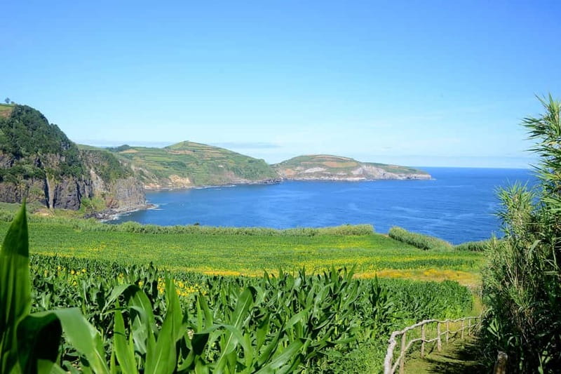 São Miguel Azores: Hike and Snorkeling with a local - What Gabriel adds to the day