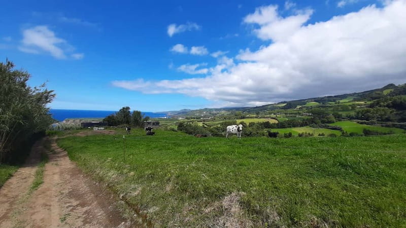 São Miguel Azores: Hike and Snorkeling with a local - Who will enjoy this outing most?