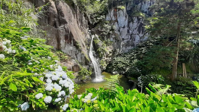 São Miguel Azores: Hike and Snorkeling with a local - Waterfall, viewpoints, and a small village