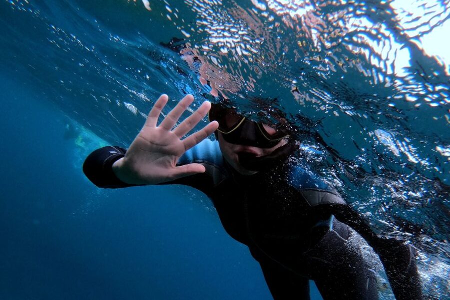 Sao Miguel: Snorkeling around Vila Franca do Campo - Key points to know before you book
