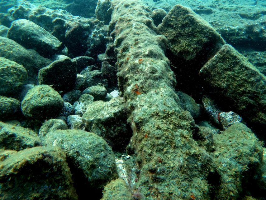 Sao Miguel: Snorkeling around Vila Franca do Campo - Why Vila Franca do Campo is the right place for snorkeling