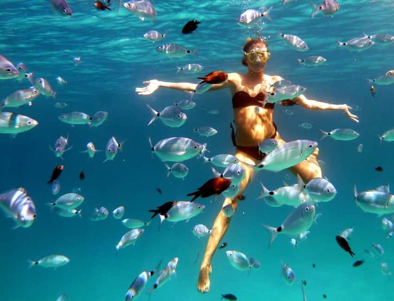 Sardinia: Morning Kayak Tour + Snorkeling and Local Aperitif - Key points at a glance