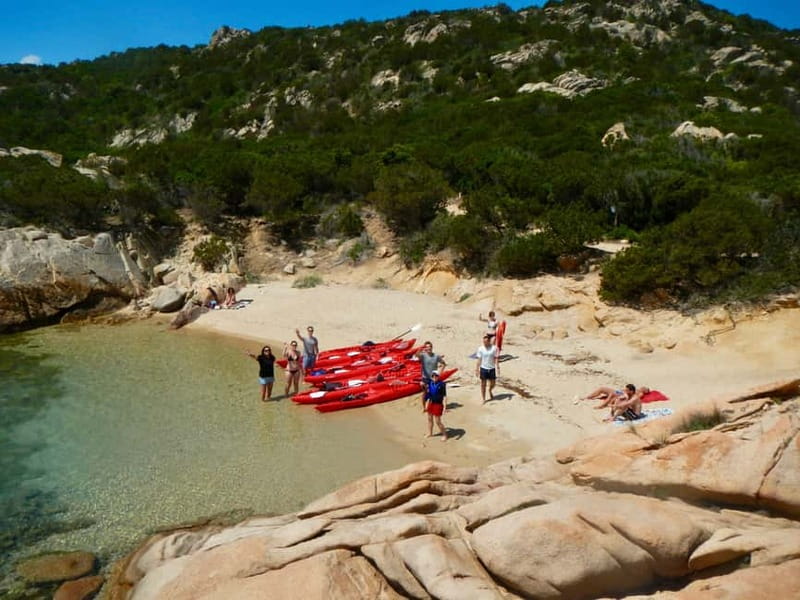 Sardinia: Morning Kayak Tour + Snorkeling and Local Aperitif - Who will enjoy this morning most