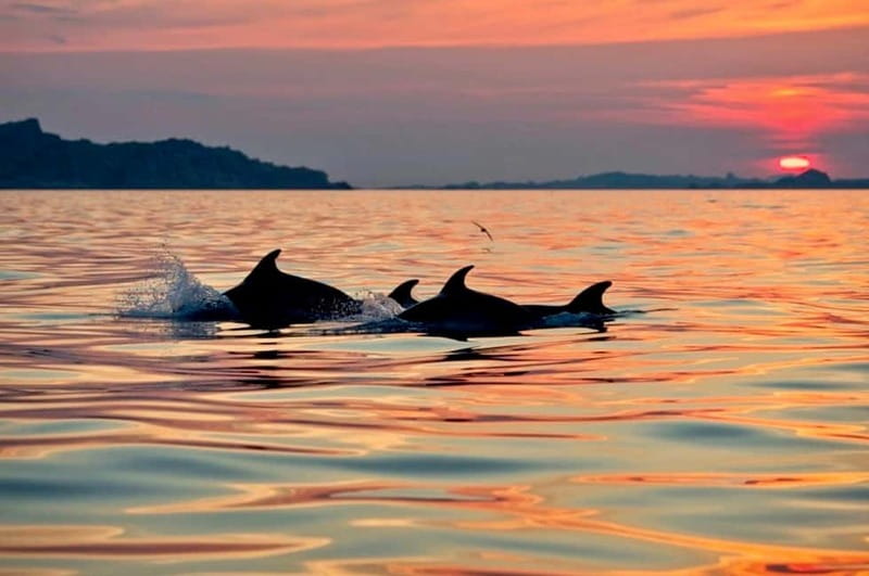 Sardinia: Sunset Kayak Tour + Snorkeling and Local Aperitif - Why this sunset paddle works so well