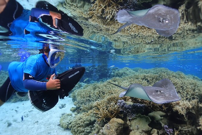 Sea Scooter Jet Snorkeling "Moorea Dream Adventure" - What the $174.63 price buys you