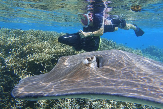 Sea Scooter Jet Snorkeling "Moorea Dream Adventure" - Who should book, and who should think twice