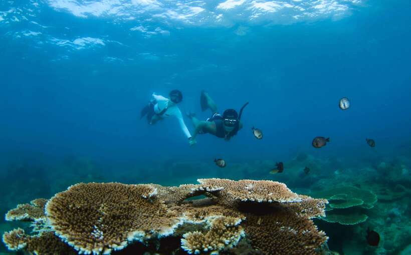 Semporna: Explore 3 Islands Tour Snorkel or Dive & Lunch - A full day on Sabah’s island waters
