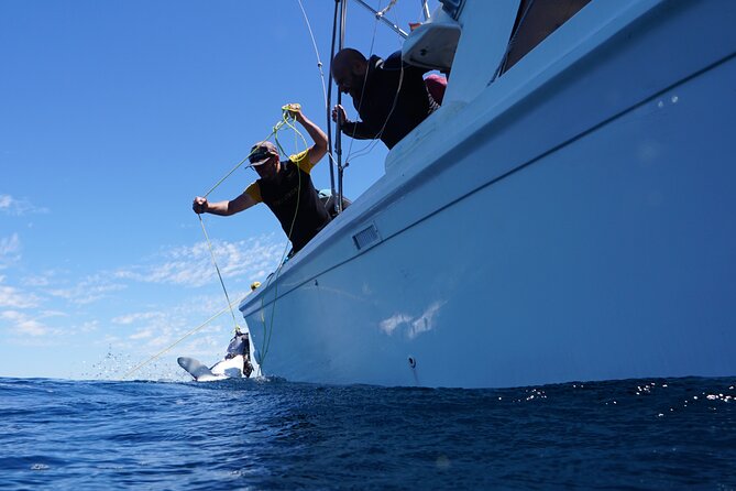 Shark Safari & Snorkel Adventure in Cabo San Lucas - Underwater photos make the $203.12 price easier to judge