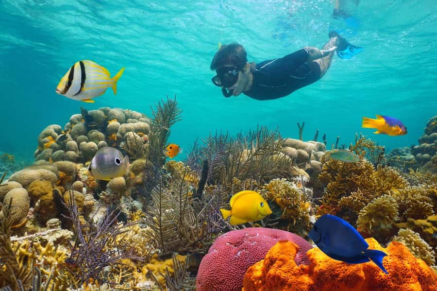 Sharm El Sheikh: Luxury boat Cruise with Snorkeling & Lunch - Key points to know before boarding