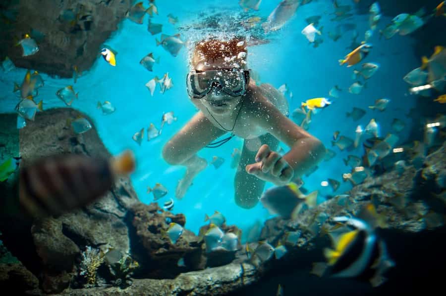 Sharm El Sheikh: Luxury boat Cruise with Snorkeling & Lunch - What the $35 price really buys