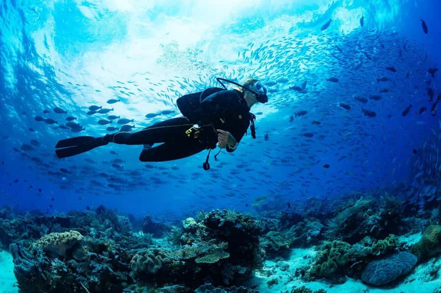 Sharm El Sheikh: Luxury boat Cruise with Snorkeling & Lunch - Should you book this cruise?