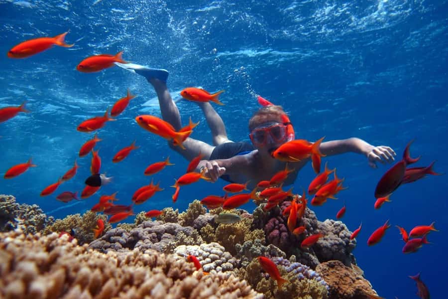 Sharm El Sheikh: Ras Mohamed Cruise with Snorkeling & Lunch - Why Ras Mohamed makes this boat trip worthwhile