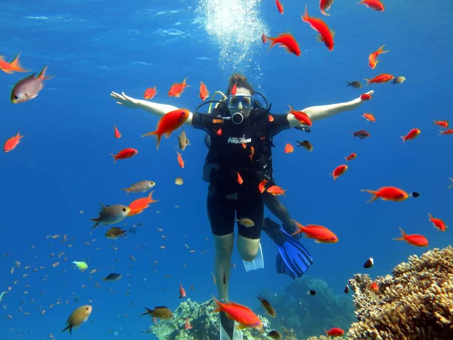 Sharm El Sheikh: Ras Mohamed Cruise with Snorkeling & Lunch - First snorkeling stop in Ras Mohamed