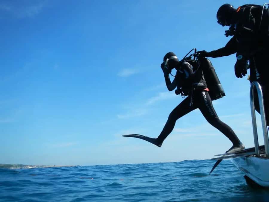 Sharm El Sheikh: Ras Mohamed & White Island Dive & Snorkel - Key points at a glance