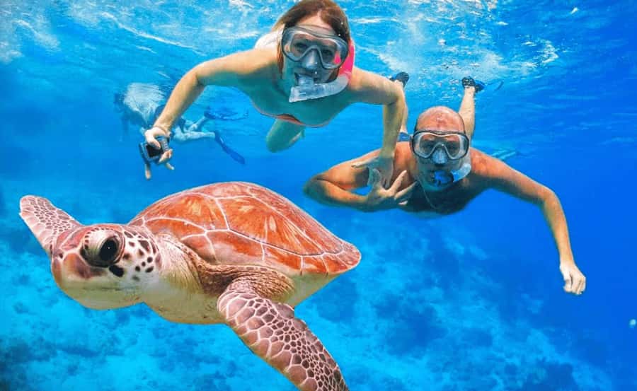 Sharm El Sheikh: Ras Mohamed & White Island Dive & Snorkel - The first reef stop: getting comfortable in the water