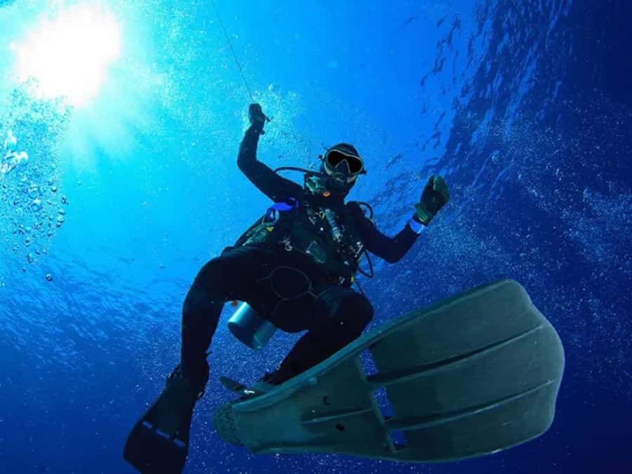 Sharm El Sheikh: Ras Mohamed & White Island Dive & Snorkel - Who should book this Red Sea trip