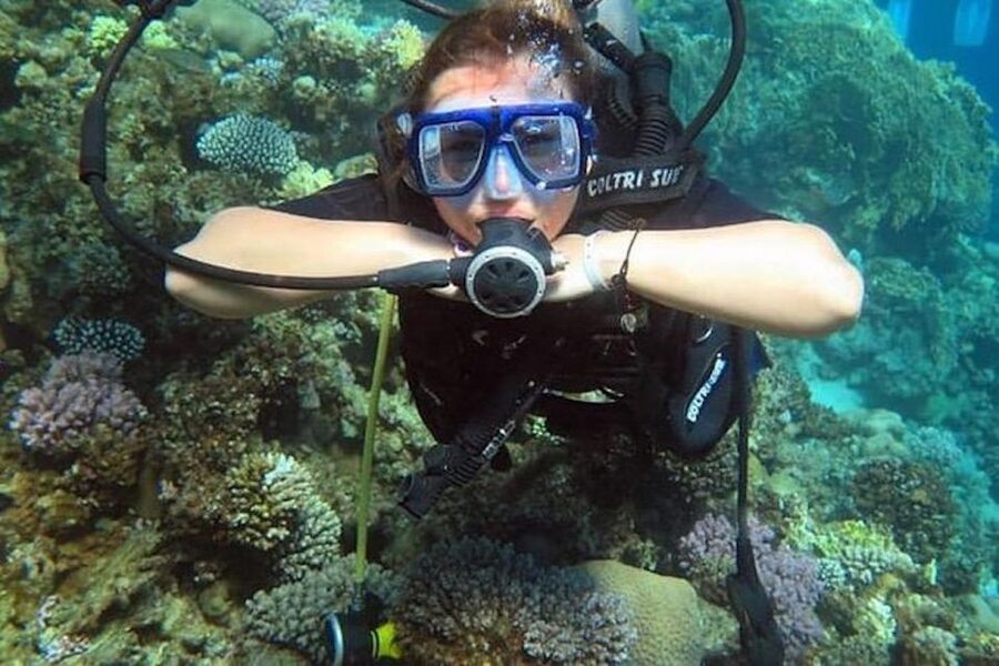 Sharm El Sheikh: Ras Mohamed & White Island Snorkel or Dive - Key points to know before booking