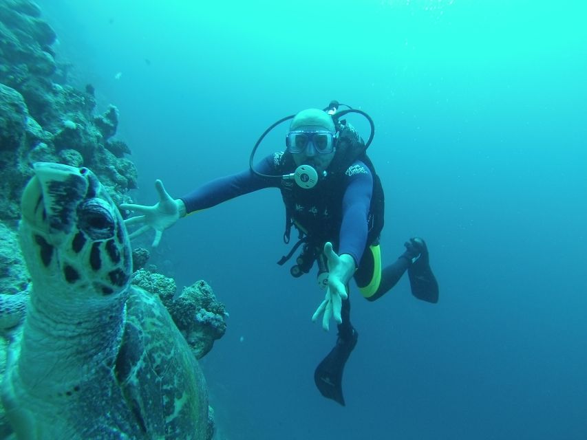 Sharm El Sheikh: Ras Mohamed & White Island Snorkel or Dive - From Sharm El Sheikh to Ras Muhammad by boat