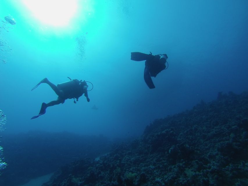 Sharm El Sheikh: Ras Mohamed & White Island Snorkel or Dive - Introductory scuba sessions are carefully paced