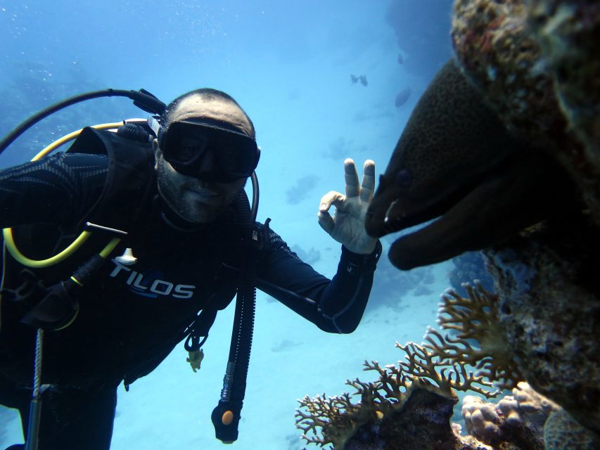 Sharm El Sheikh: Ras Mohamed & White Island Snorkel or Dive - Lunch, drinks, and the pace on board