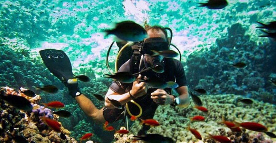 Sharm El Sheikh: Ras Mohamed & White Island Snorkel or Dive - What the two reef stops are like