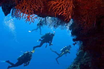 Sharm El-Sheikh: Ras Mohamed & White Island Snorkeling Trip