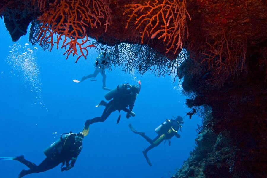 Sharm El-Sheikh: Ras Mohamed & White Island Snorkeling Trip - Lunch on deck and the pace of the day