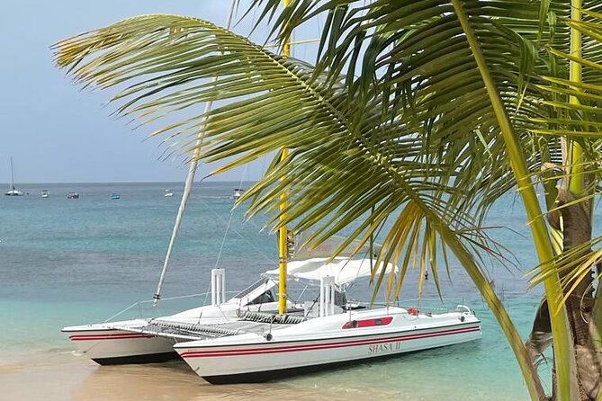 Shasa private catamran sailing cruise, Snorkel with turtles. - Snorkeling near Cobblers Cove