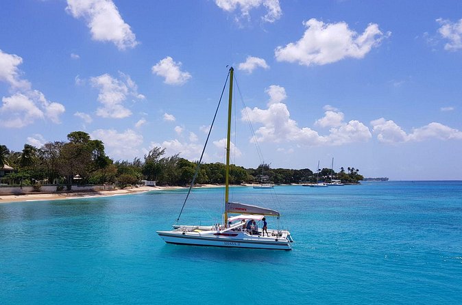 Shasa private catamran sailing cruise, Snorkel with turtles. - Booking, weather, and cancellation details