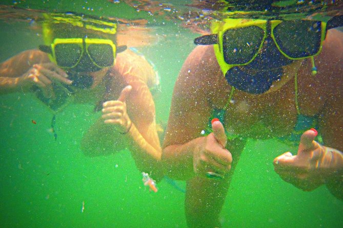 Shell Island Snorkel and Dolphin Catamaran Cruise with Island Time - Drinks, music, and the onboard mood