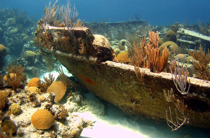 Shipwreck Snorkel in Bermuda - Crew guidance makes a real difference