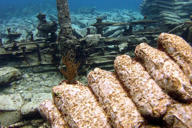 Shipwreck Snorkel in Bermuda - Who will enjoy this trip most?
