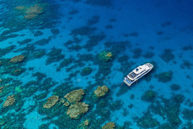 Silverswift Dive and Snorkel Great Barrier Reef Cruise - Key points to know before you book