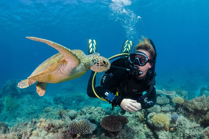 Silverswift Dive and Snorkel Great Barrier Reef Cruise - Flynn, Milln, and Thetford offer variety