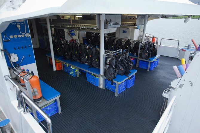 Silverswift Dive and Snorkel Great Barrier Reef Cruise - Scuba for beginners, certified participants, and snorkelers